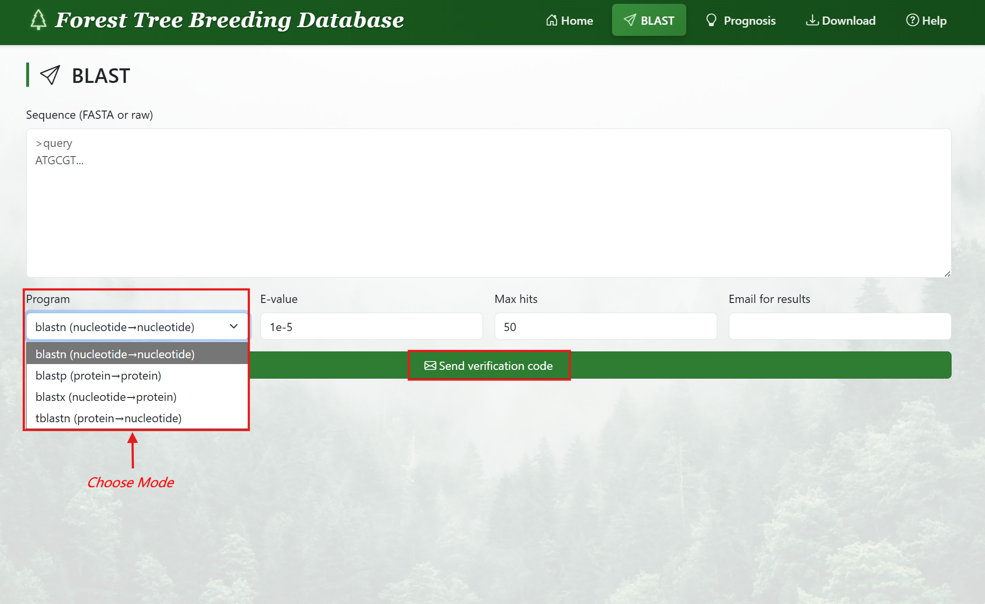 BLAST submission interface showing sequence input and parameter settings