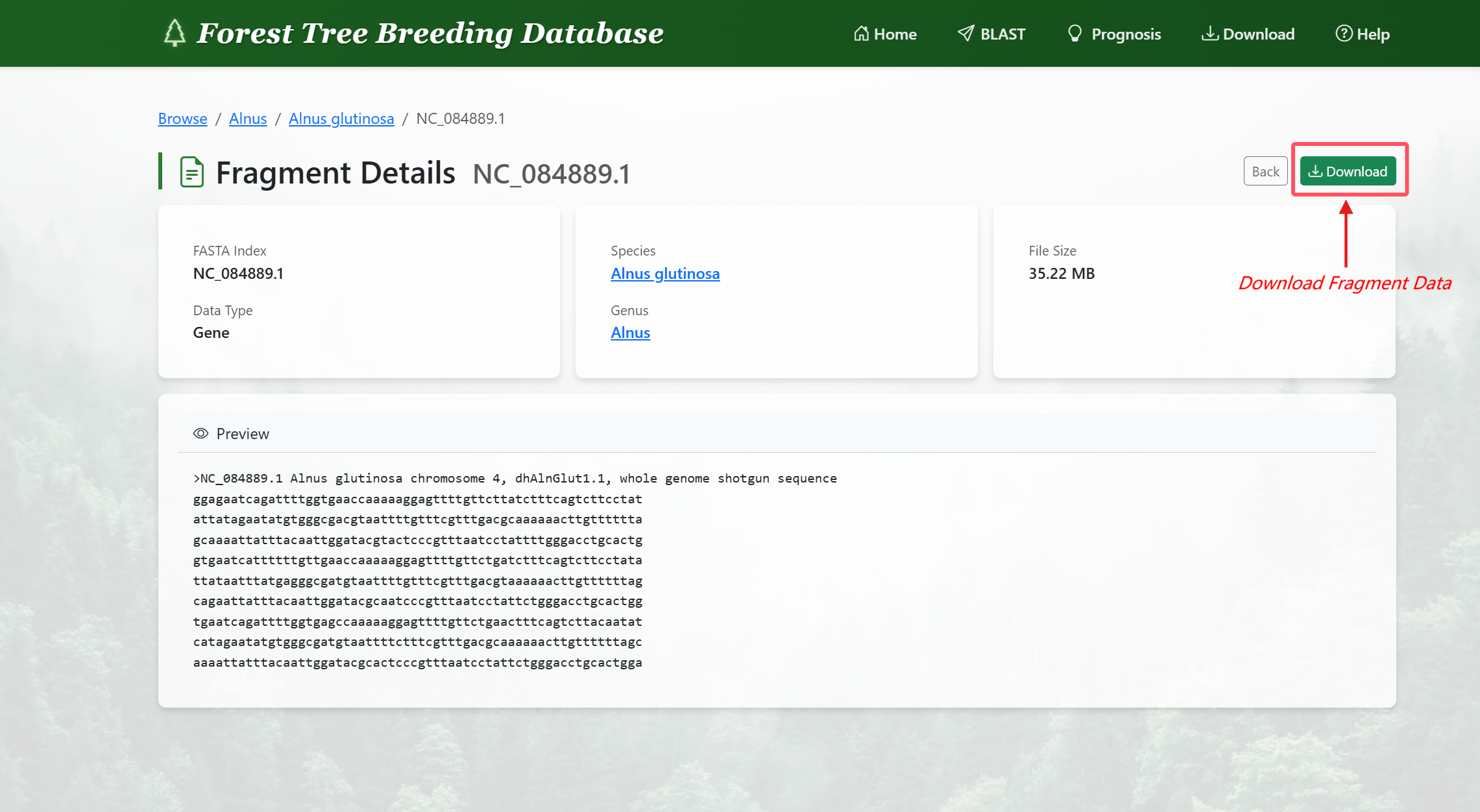 Individual fragment data download interface