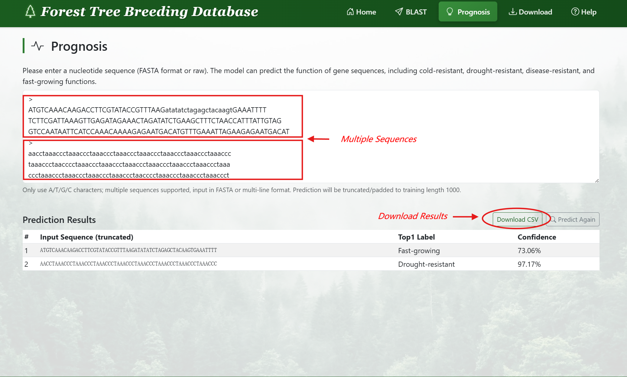 Multiple sequence prediction interface